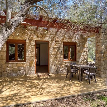 Stonehouse In Olives Lägenhet Ulcinj Exteriör bild