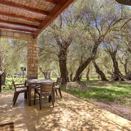 Stonehouse In Olives Lägenhet Ulcinj Exteriör bild