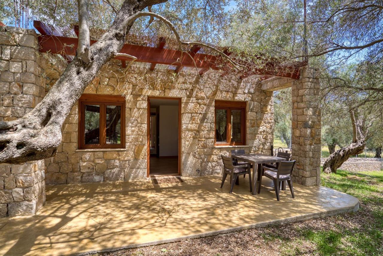 Stonehouse In Olives Lägenhet Ulcinj Exteriör bild