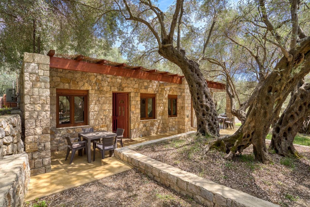 Stonehouse In Olives Lägenhet Ulcinj Exteriör bild