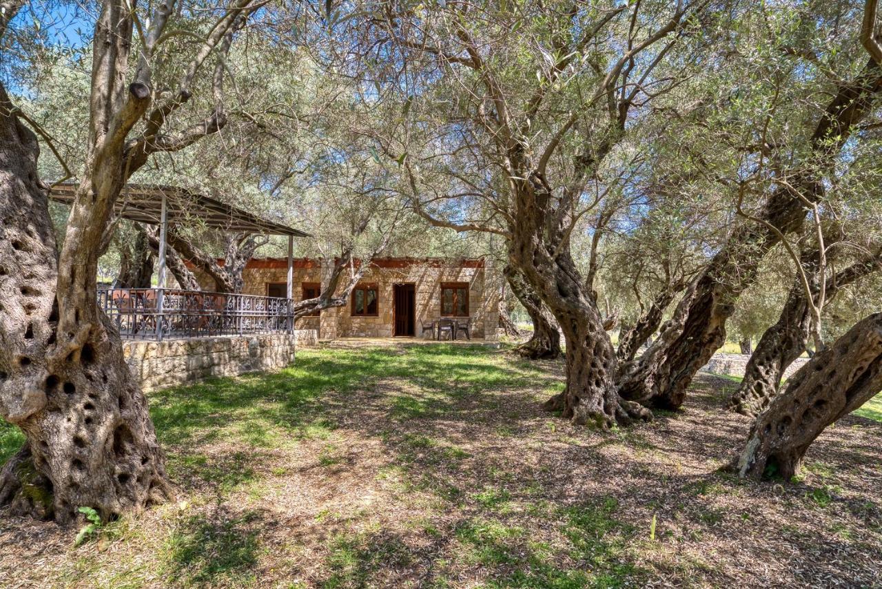 Stonehouse In Olives Lägenhet Ulcinj Exteriör bild