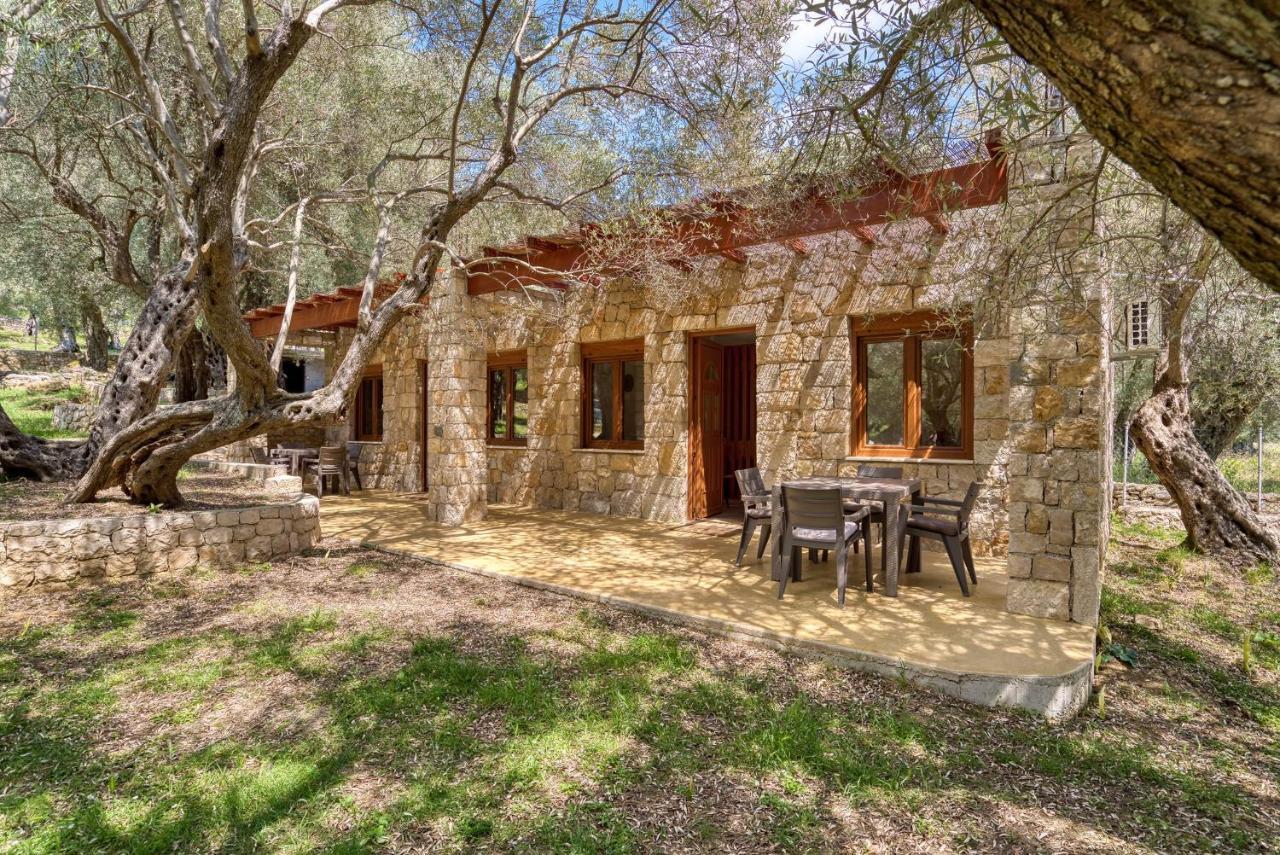Stonehouse In Olives Lägenhet Ulcinj Exteriör bild