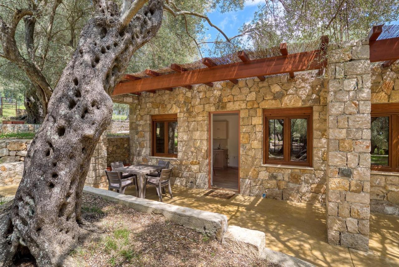 Stonehouse In Olives Lägenhet Ulcinj Exteriör bild