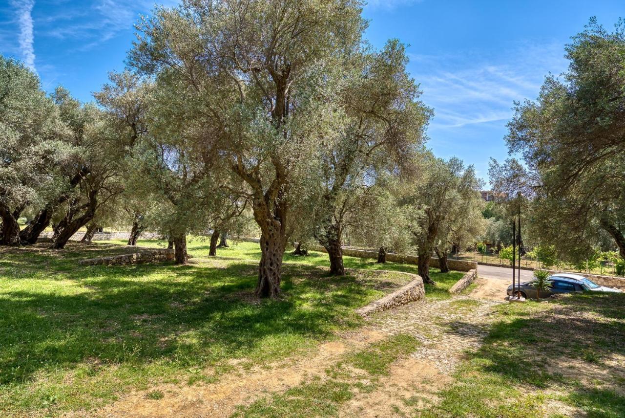 Stonehouse In Olives Lägenhet Ulcinj Exteriör bild