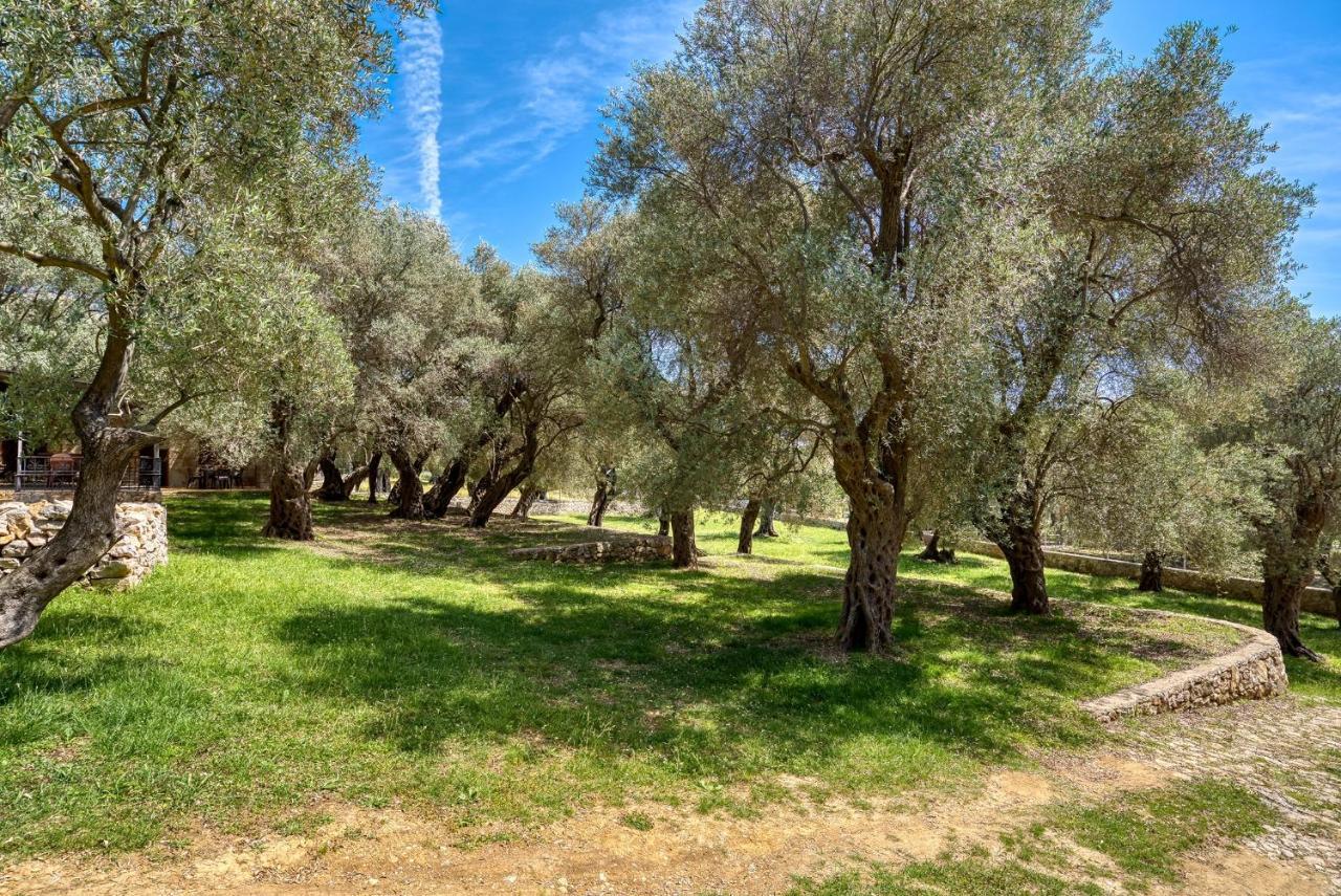 Stonehouse In Olives Lägenhet Ulcinj Exteriör bild