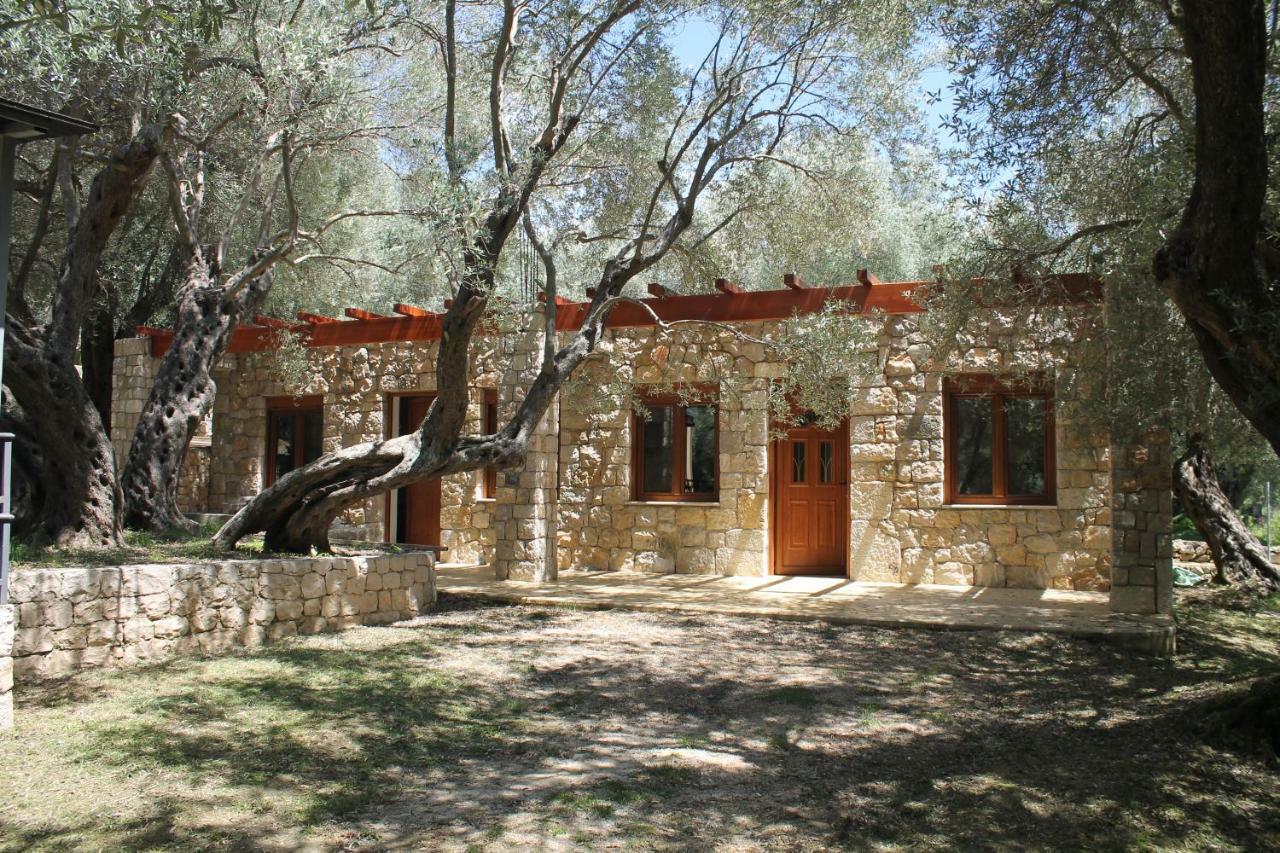 Stonehouse In Olives Lägenhet Ulcinj Exteriör bild
